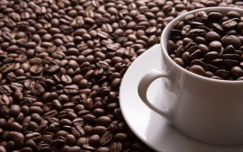 Кофе – это вредный или полезный для здоровья продукт?